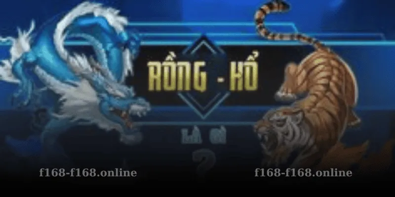 Rồng Hổ Là Gì?